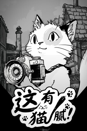 这有猫腻-单机岛