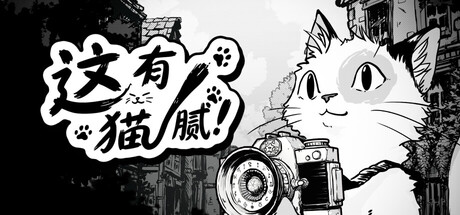 这有猫腻/Cat Me If You Can-悟界ShareHub