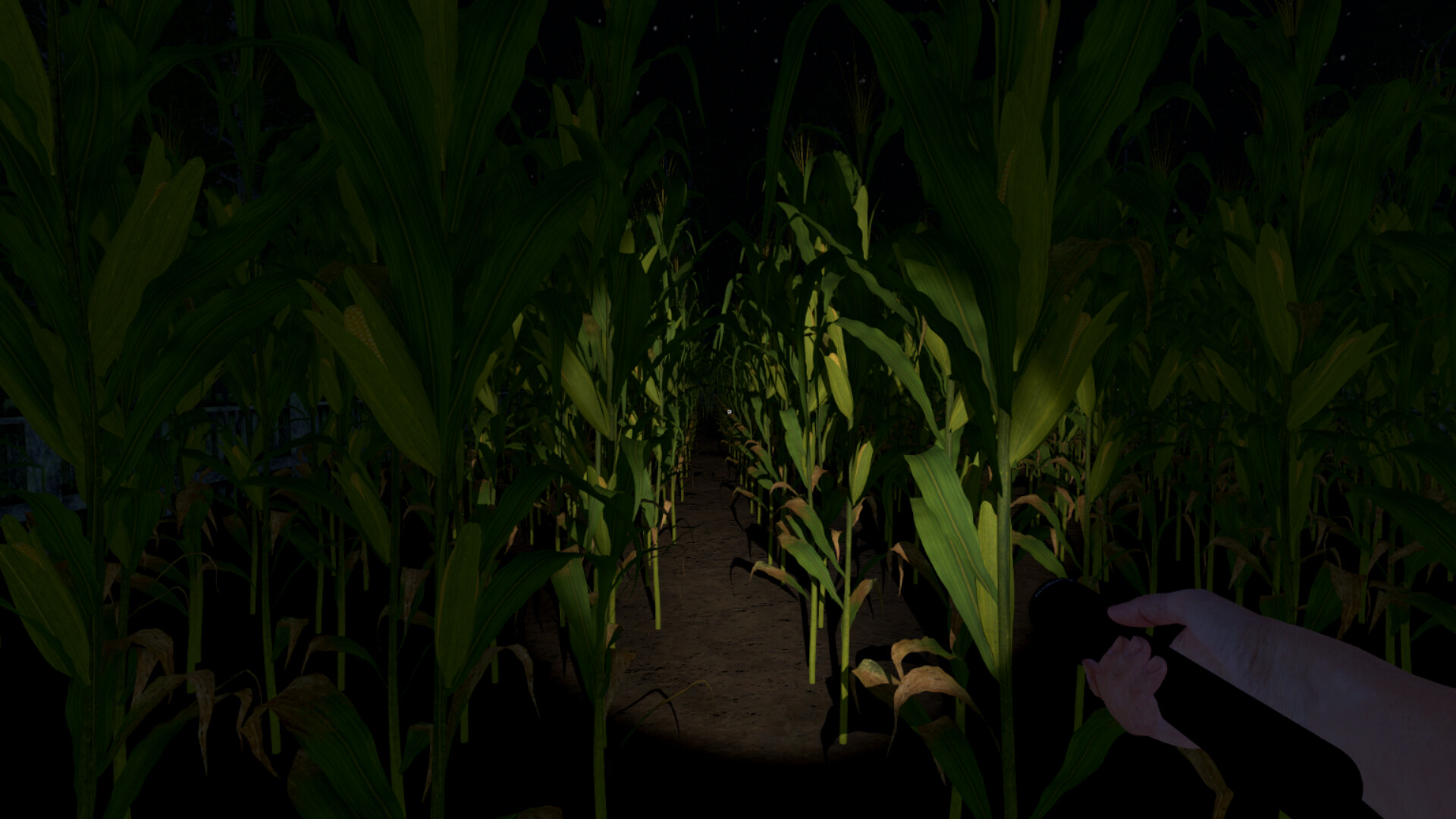 灰人：人类绑架/The Greys: Human Abductions 截图 7