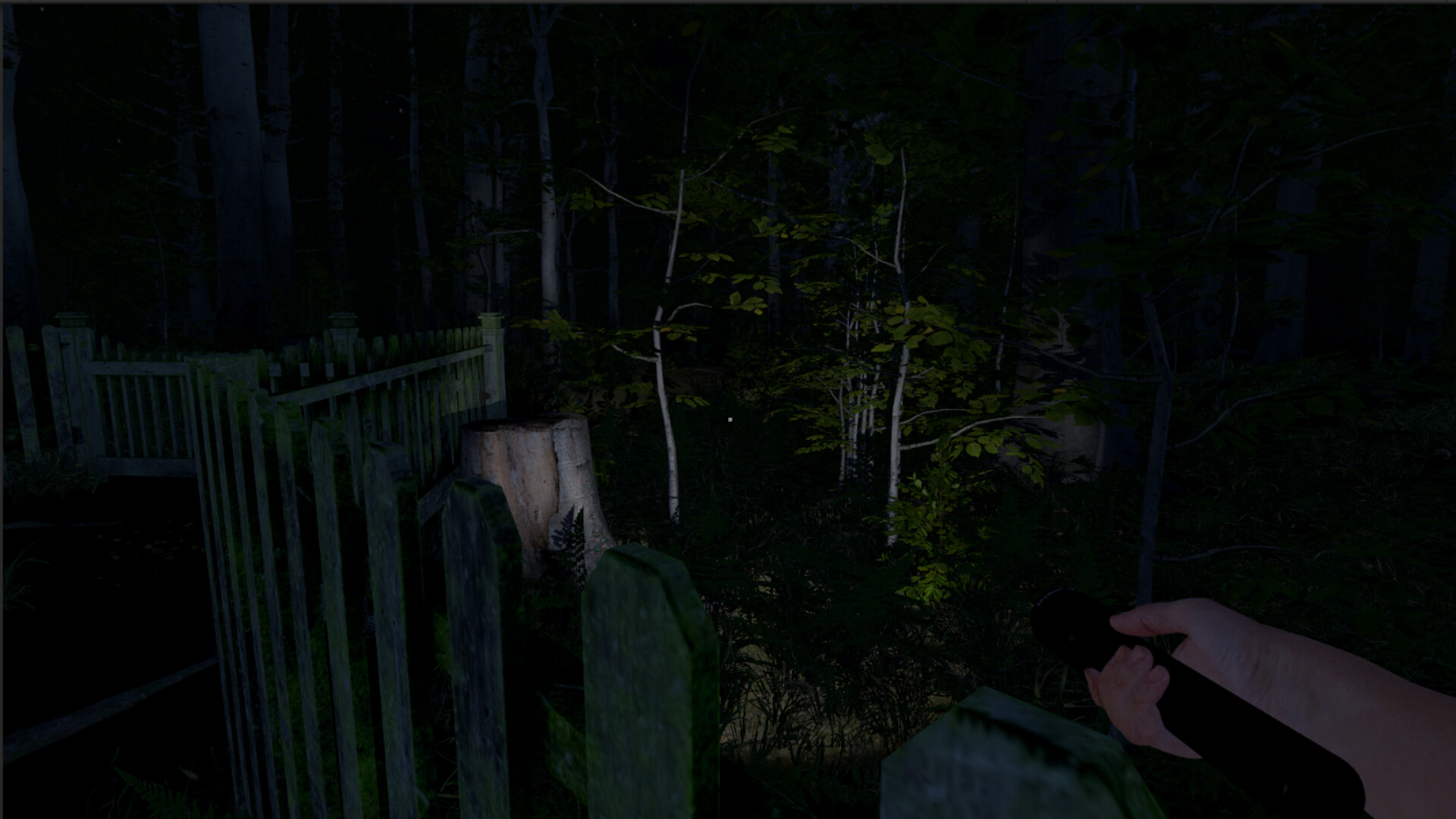 《灰人：人类绑架(The Greys: Human Abductions)》|Build 20258528|中文|免安装硬盘版