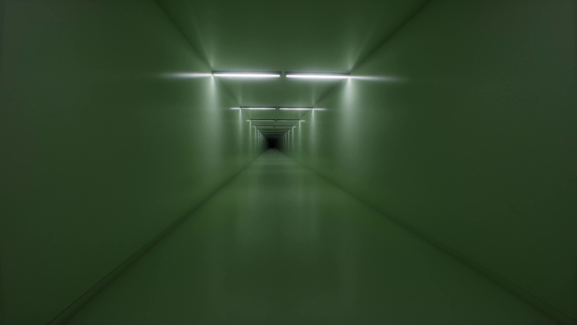 Image 20