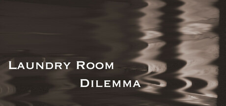 Laundry Room Dilemma_图片