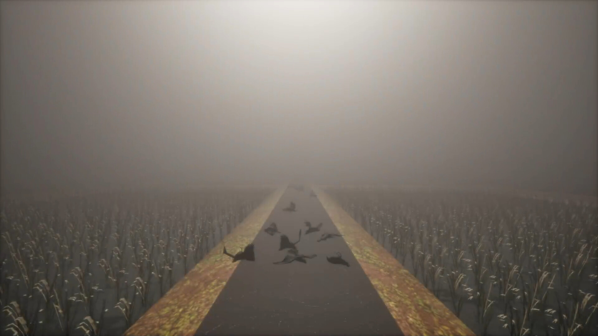 《稻田(The Paddy Field)》|英日文|免安装硬盘版 《稻田(The Paddy Field)》|英日文|免安装硬盘版