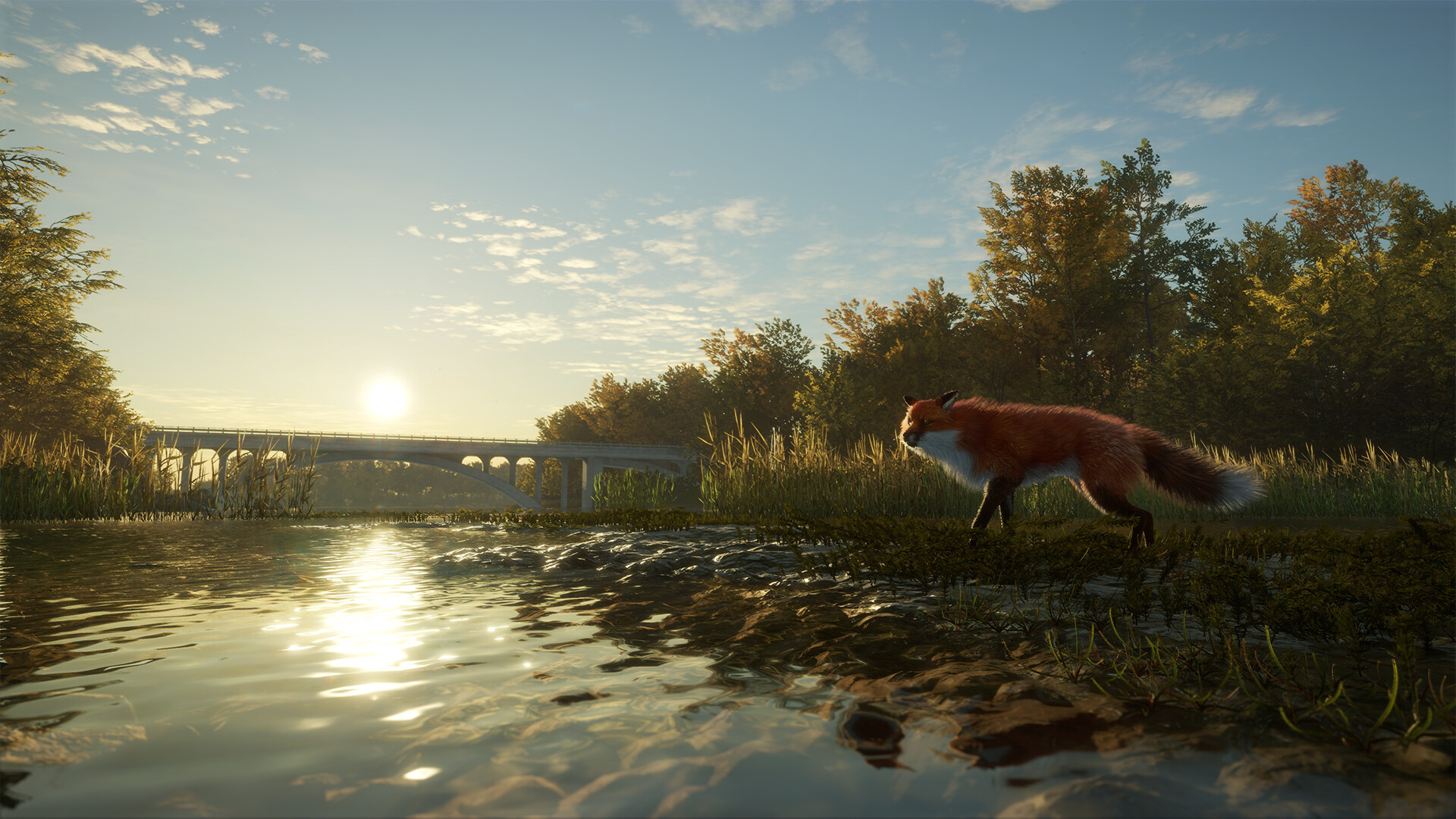 图片[2]-猎人：荒野的召唤终极版 萨尔茨维森 | theHunter: Call of the Wild – Salzwiesen Park-Agame游戏中心