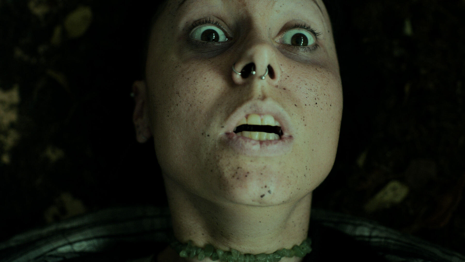 幽林深处/Heart of the Forest 截图 3