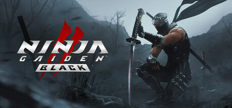 忍者龙剑传2：黑之章 NINJA GAIDEN 2 Black