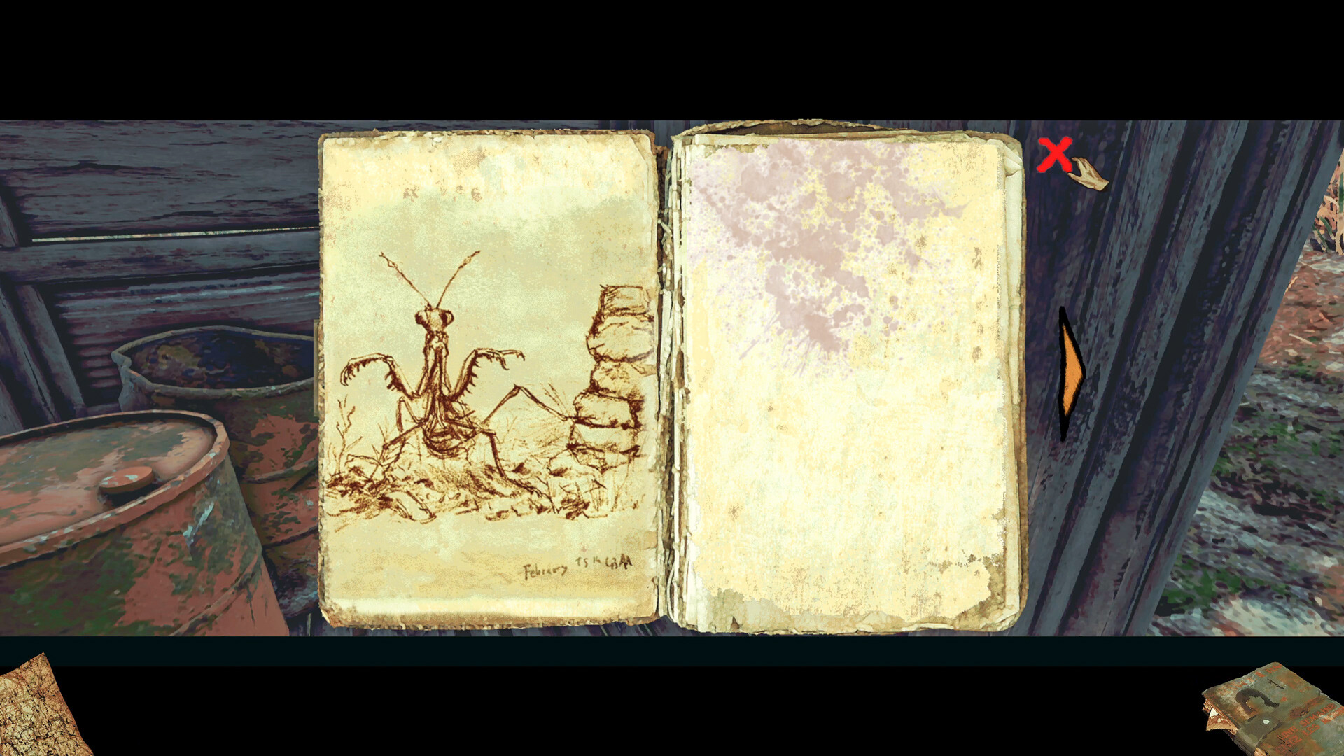 Image 17