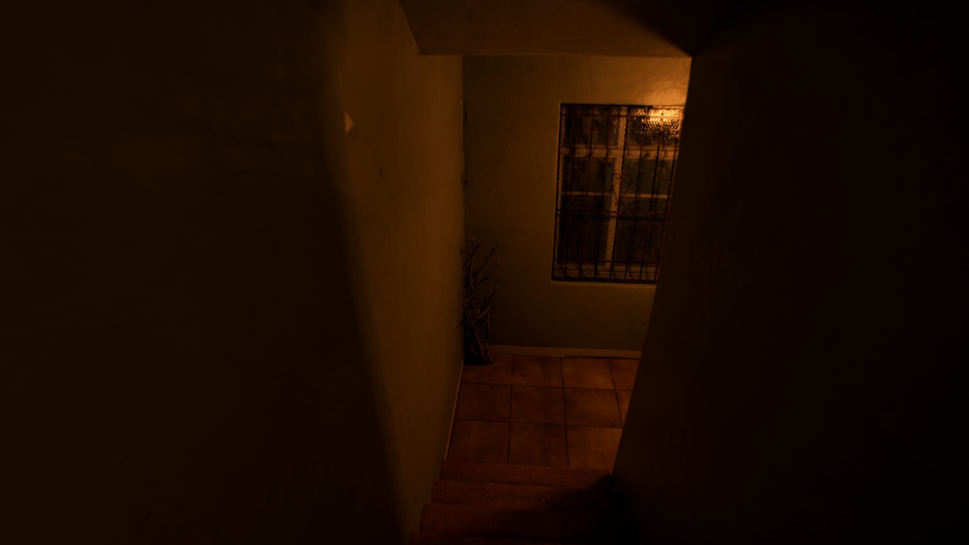 Image 13
