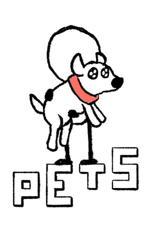 PETS 免安装中文版下载|MOD修改器存档 - 单机岛