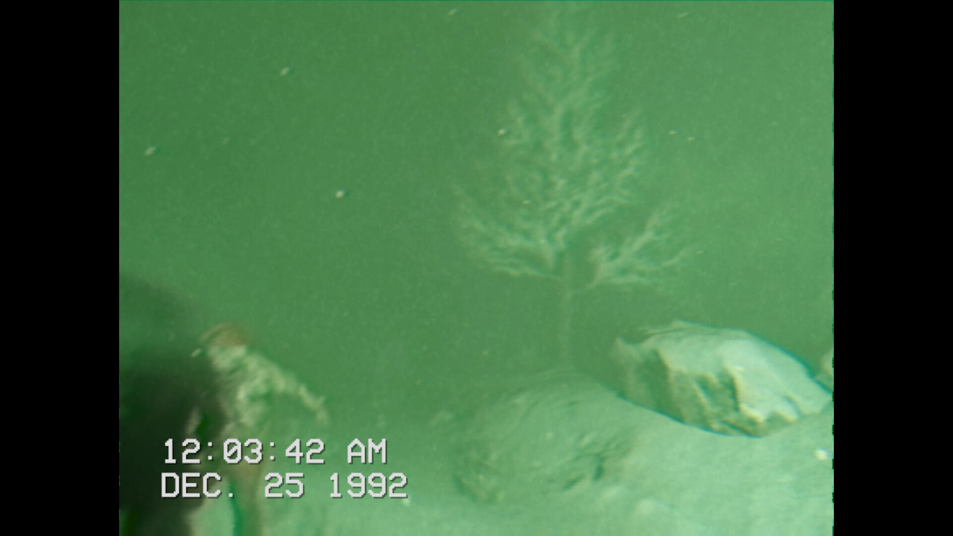 寒夜爪痕/KLAWS 截图 5