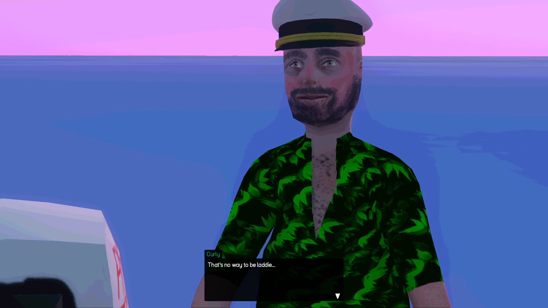 Image 22