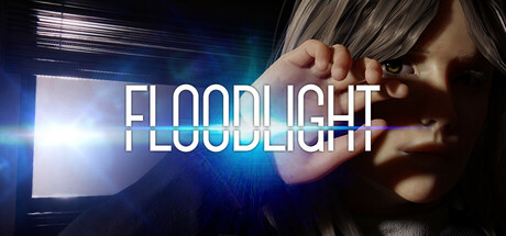 泛光灯/Floodlight