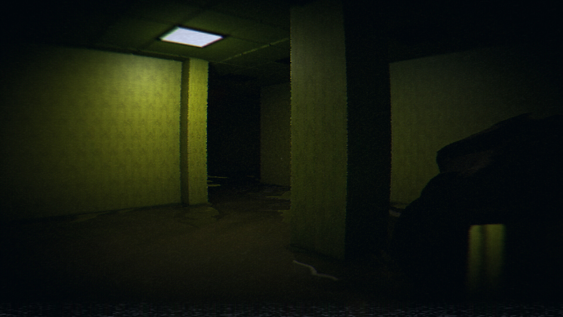 恐怖迷宫与游泳池/HorrorCore: Maze and Pools of Horror 截图 17