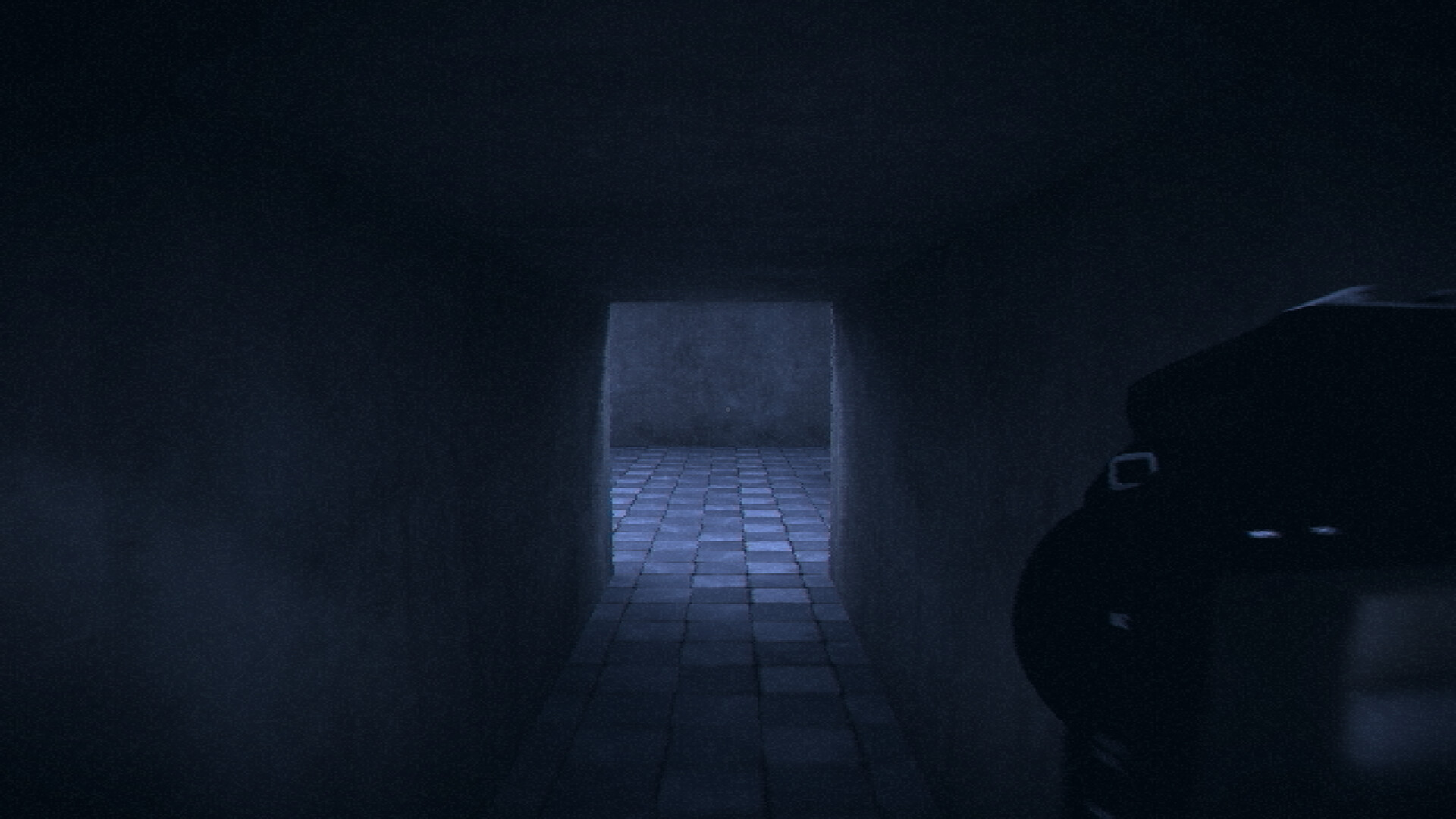 恐怖迷宫与游泳池/HorrorCore: Maze and Pools of Horror 截图 14