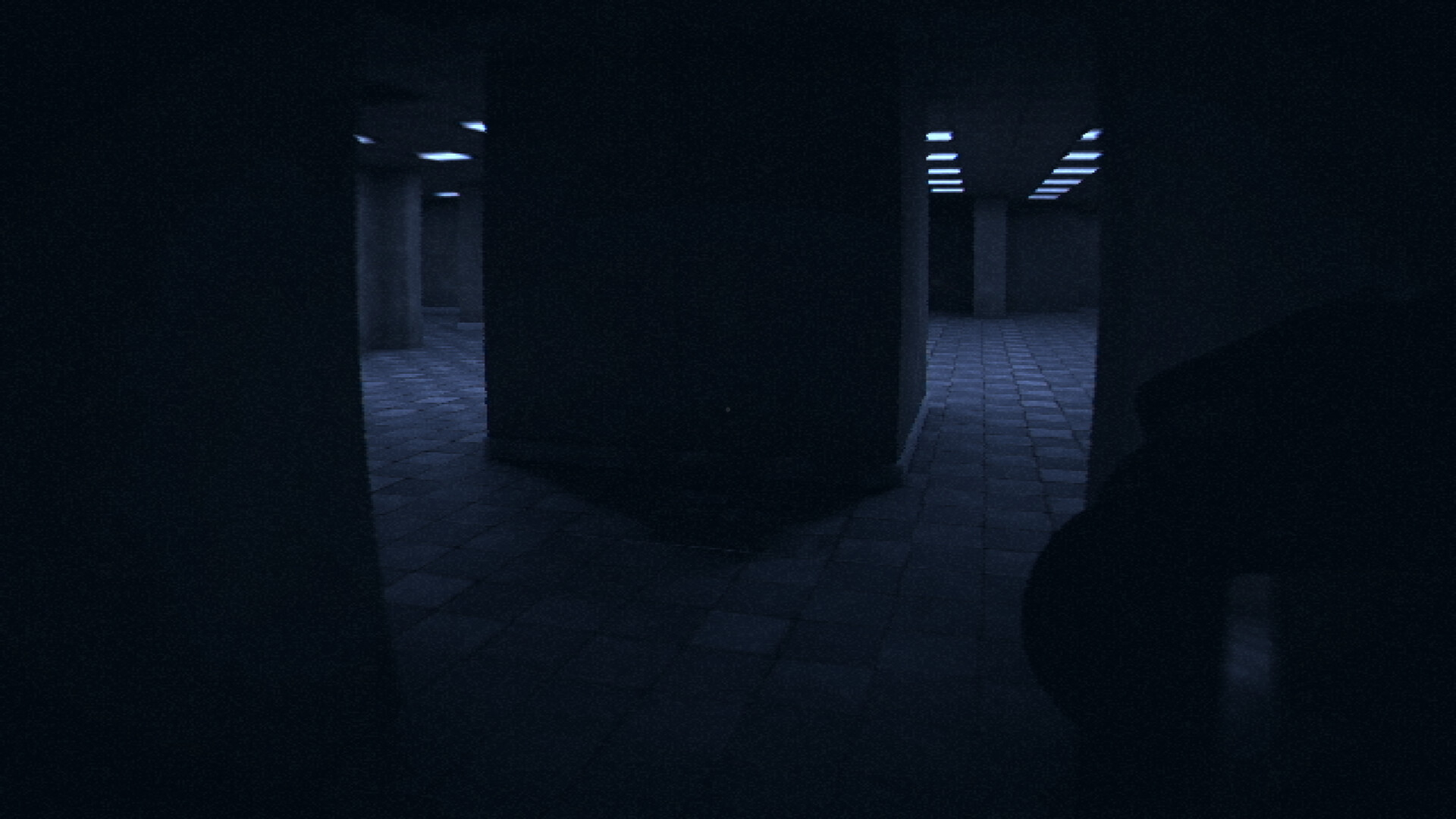 恐怖迷宫与游泳池/HorrorCore: Maze and Pools of Horror 截图 21