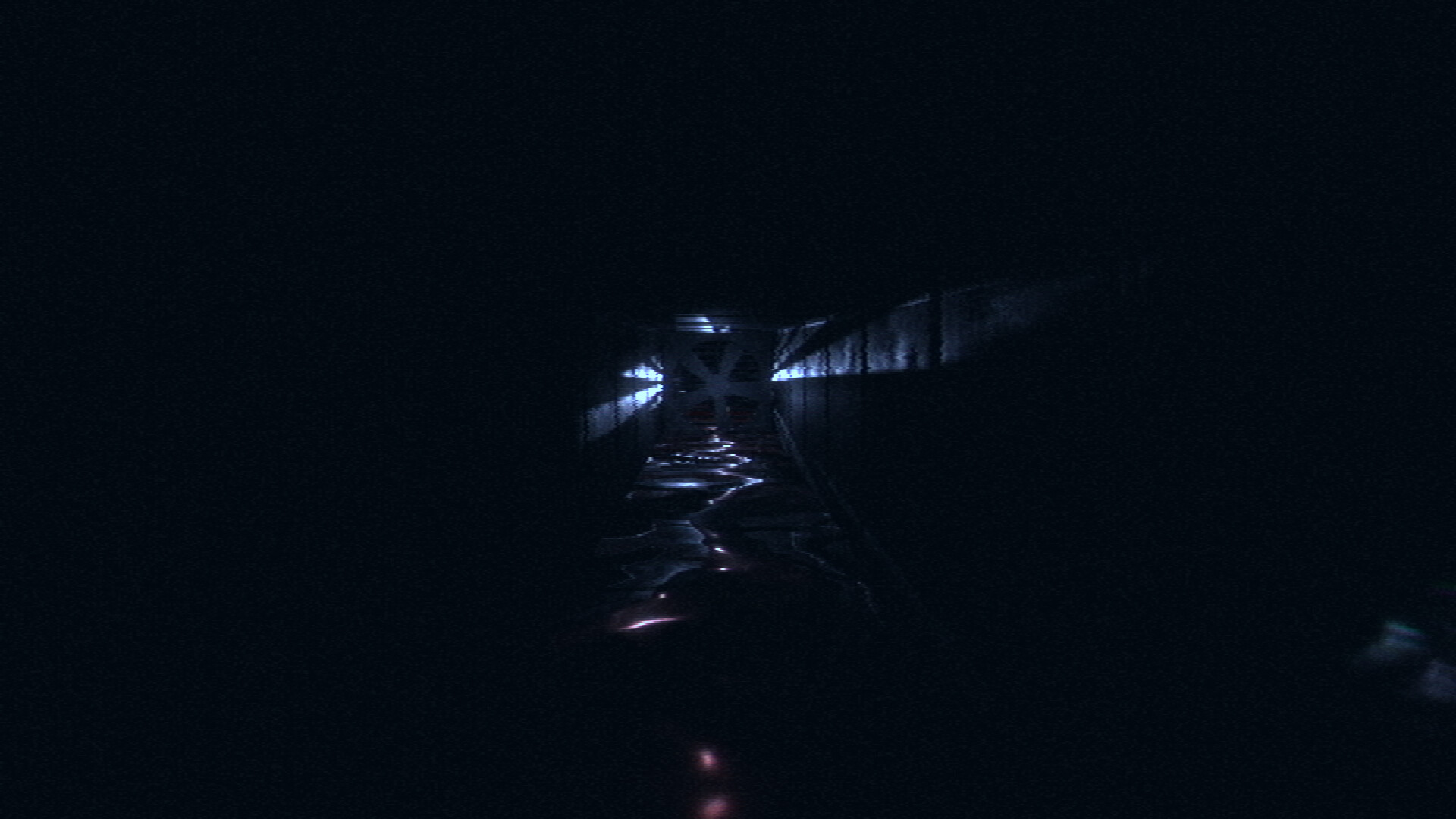 恐怖迷宫与游泳池/HorrorCore: Maze and Pools of Horror 截图 27