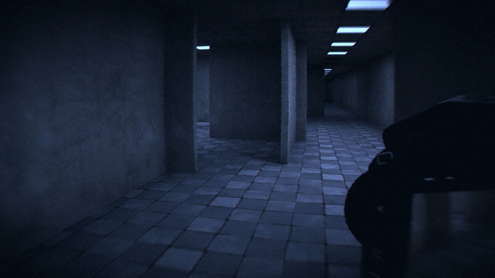 恐怖迷宫与游泳池/HorrorCore: Maze and Pools of Horror 截图 5