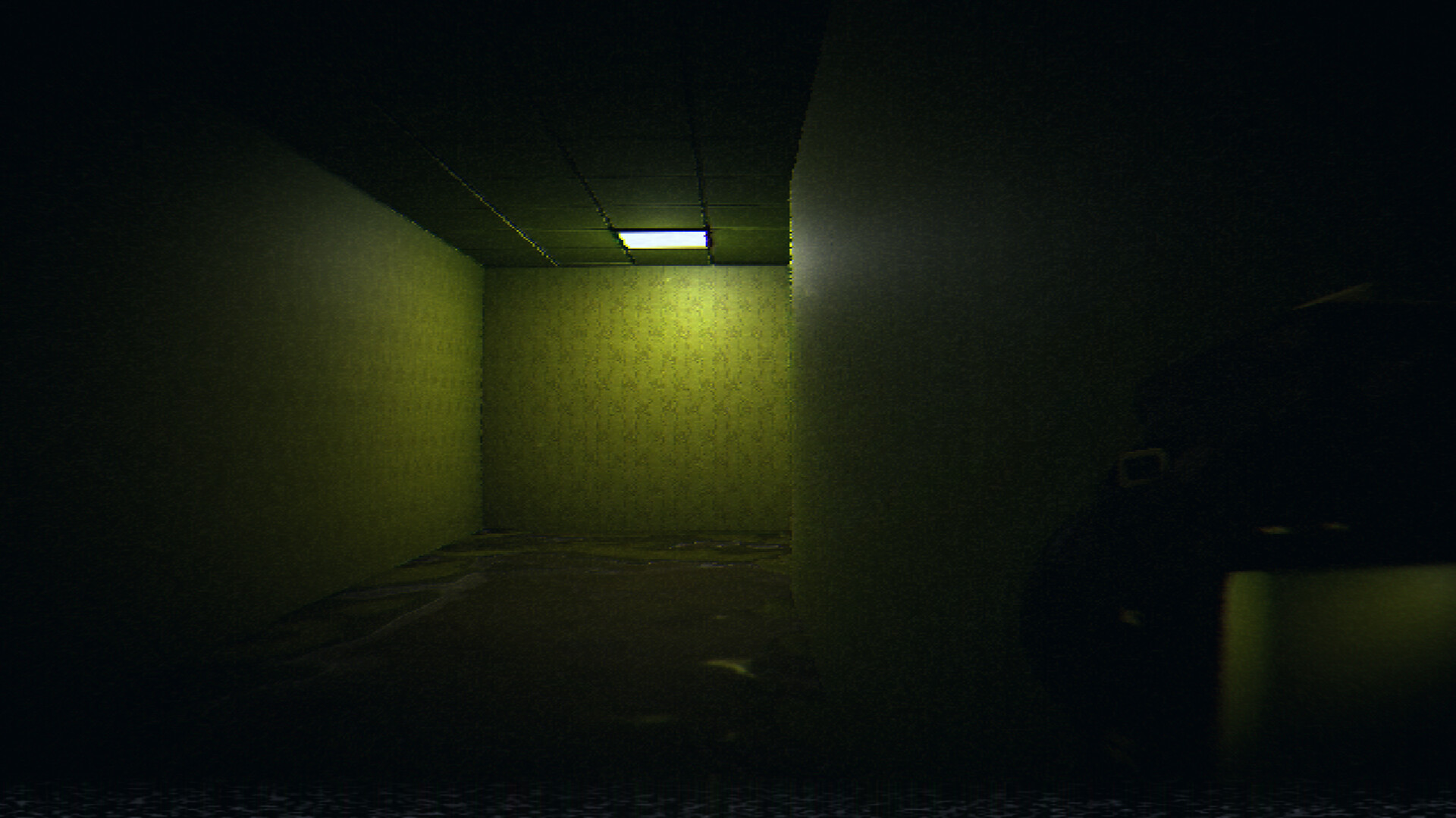 恐怖迷宫与游泳池/HorrorCore: Maze and Pools of Horror 截图 26