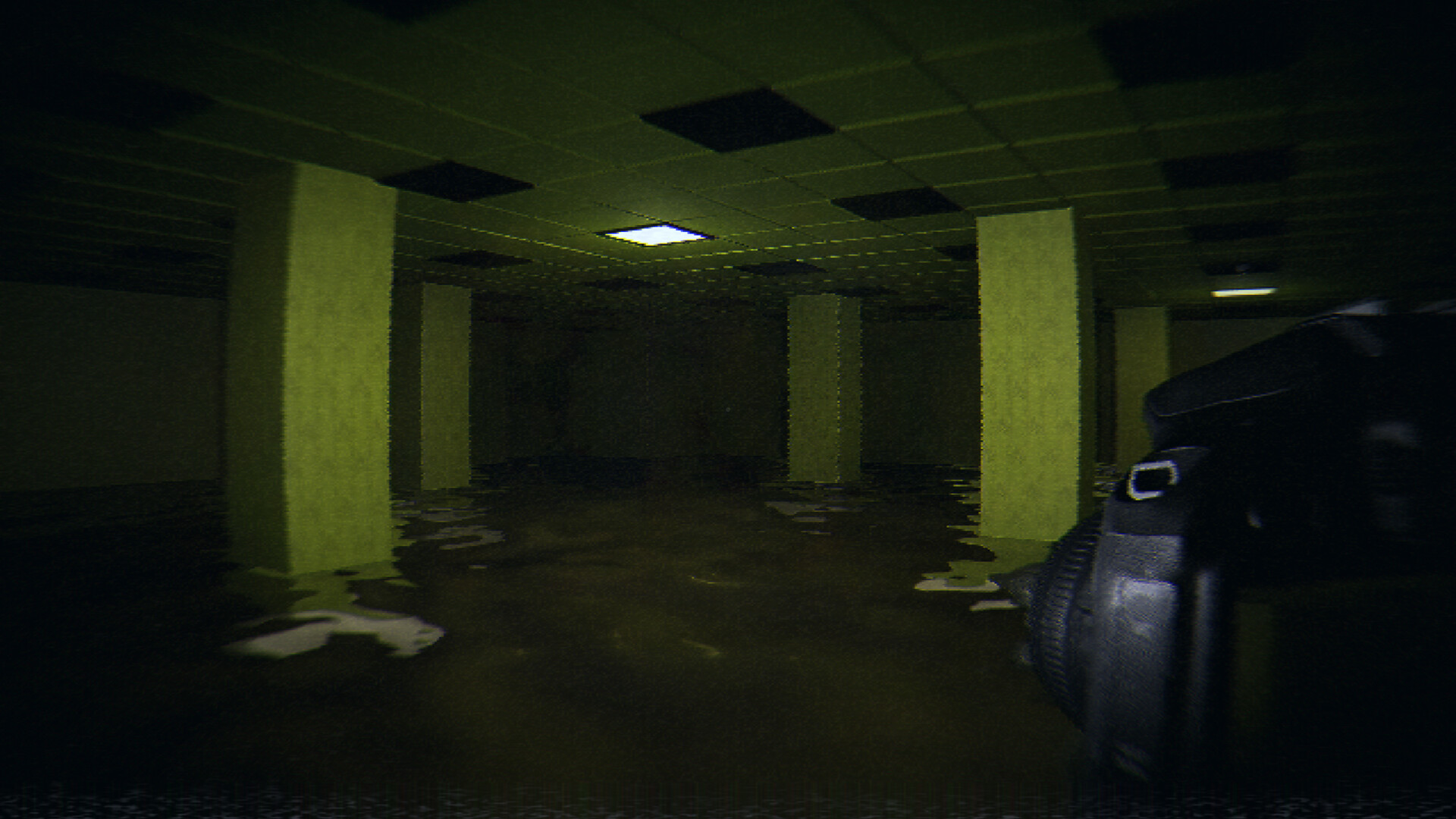 恐怖迷宫与游泳池/HorrorCore: Maze and Pools of Horror 截图 1