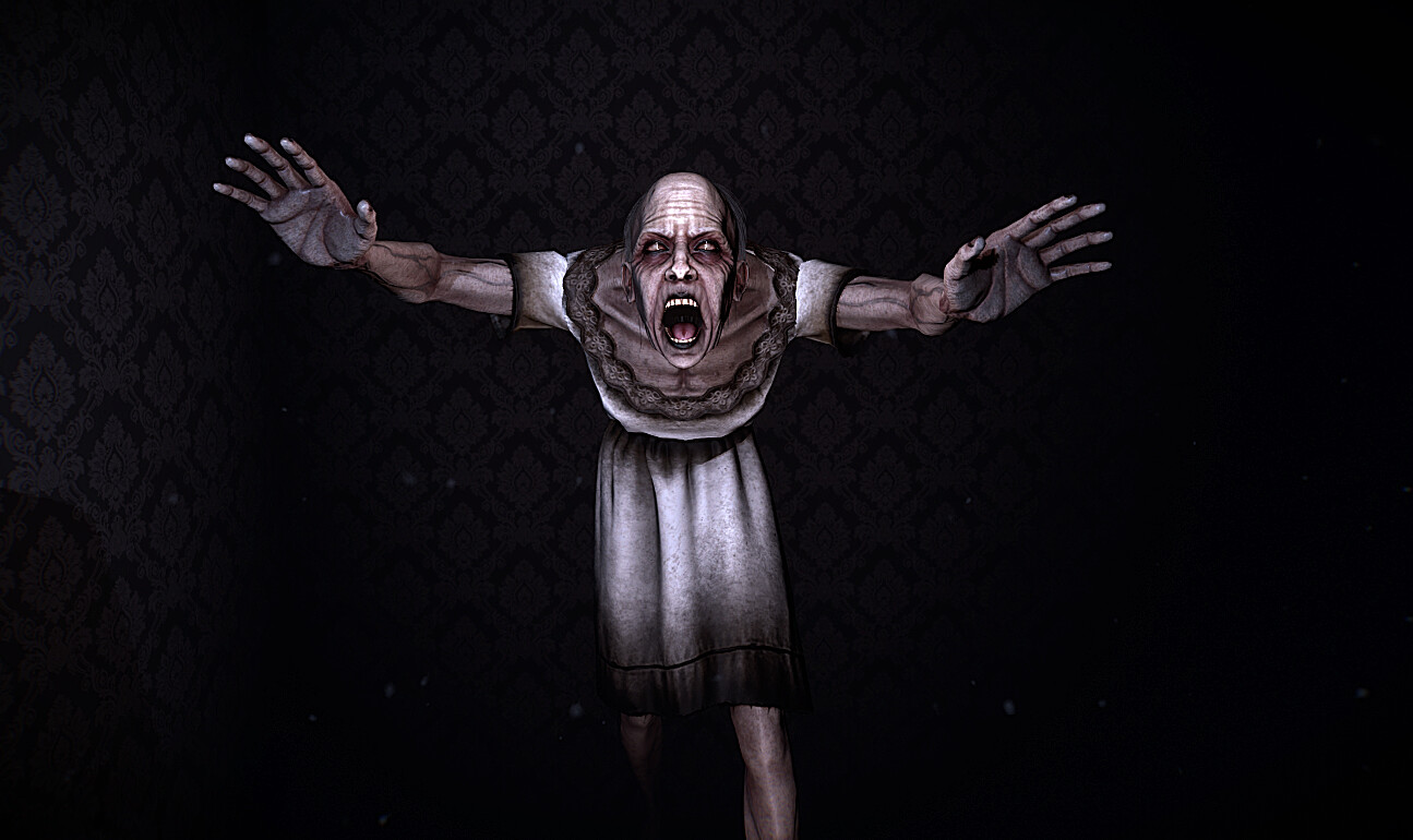 女仆/The Maid 截图 1