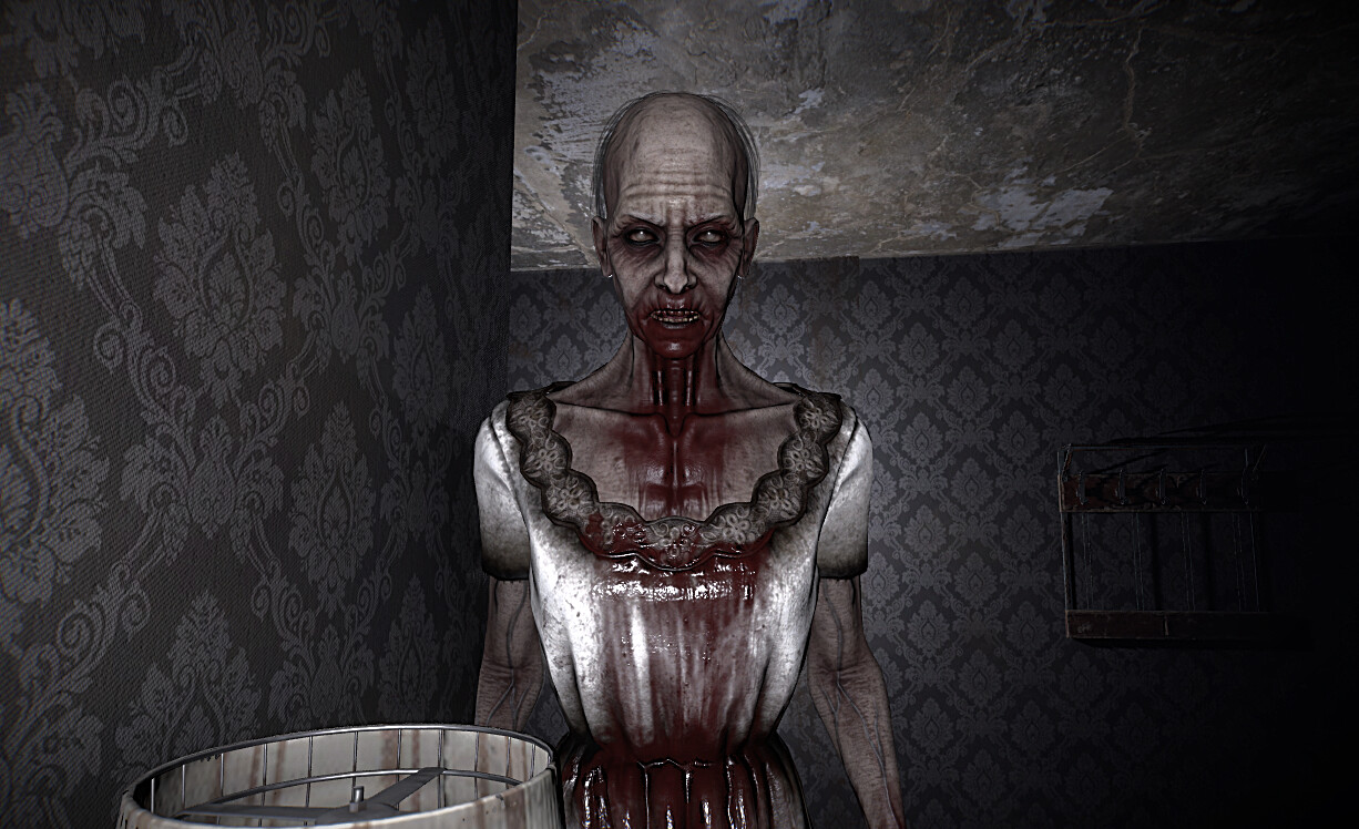 女仆/The Maid 截图 4