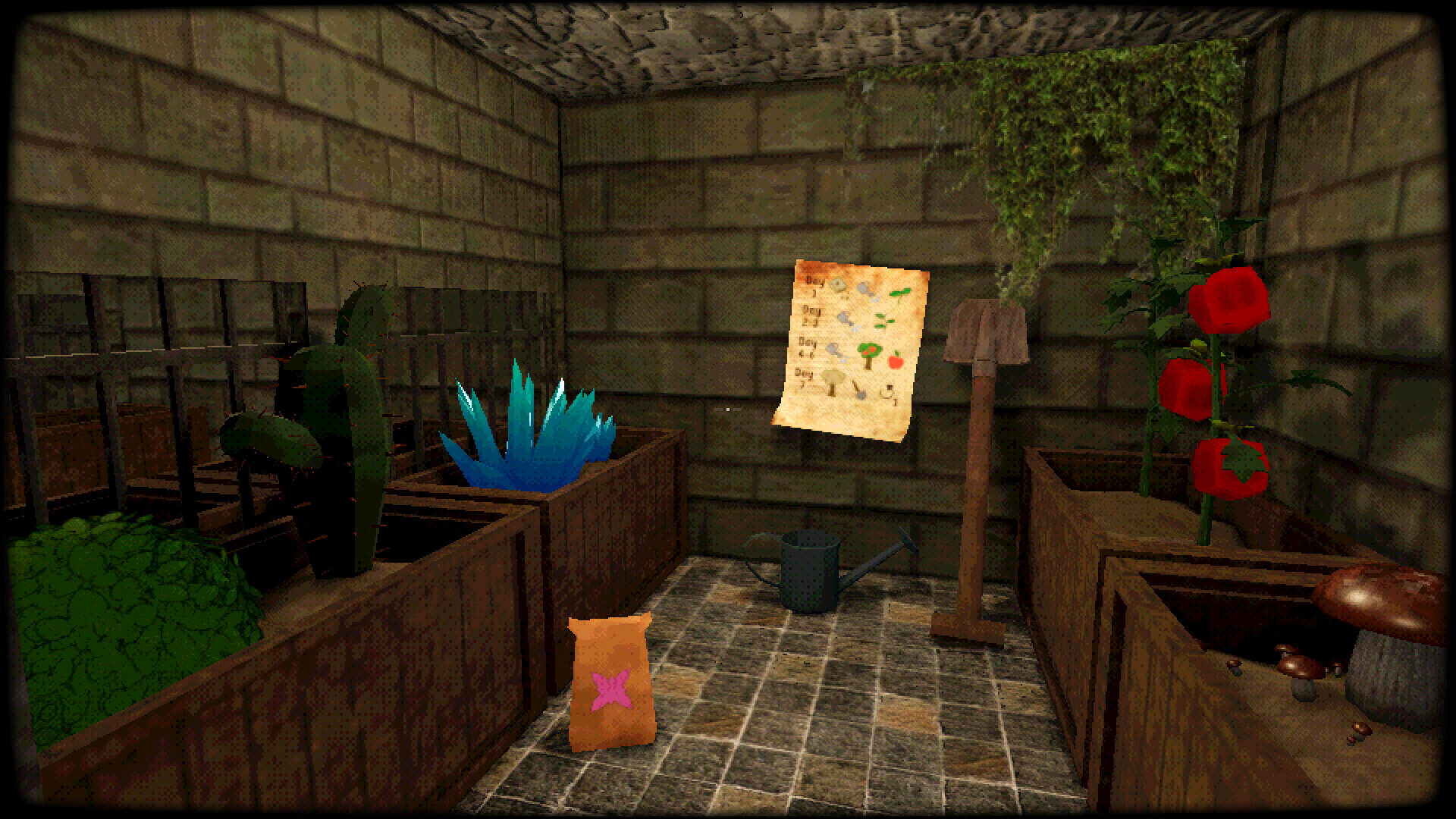 Image 11