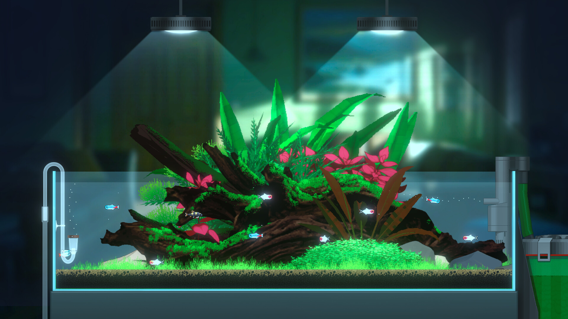 欢乐水族馆|官方中文|Joyquarium - 13
