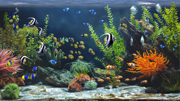 禅意水族馆/Zen Aquarium - PC平台资源截图 4