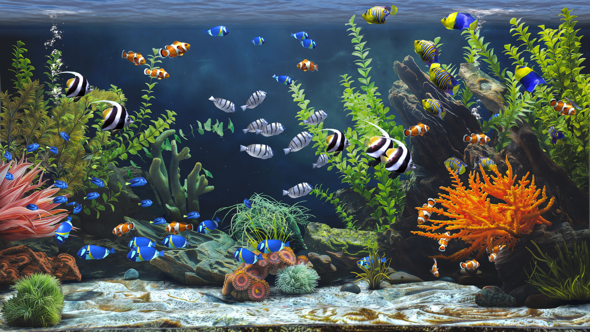 禅意水族馆/Zen Aquarium 截图 6