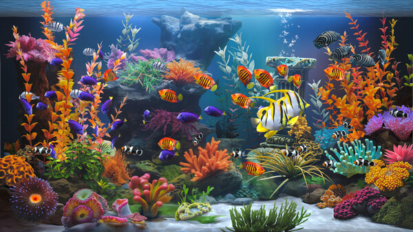 禅意水族馆/Zen Aquarium - PC平台资源截图 2