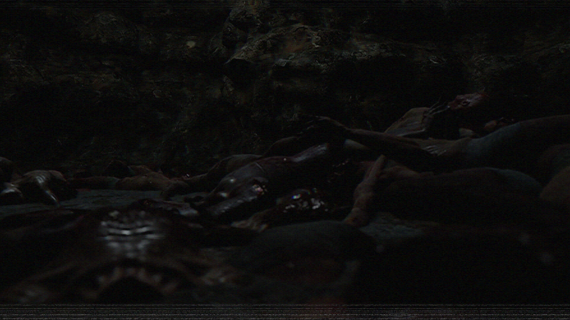 查理牛排/Welcome to the Chop House 截图 5