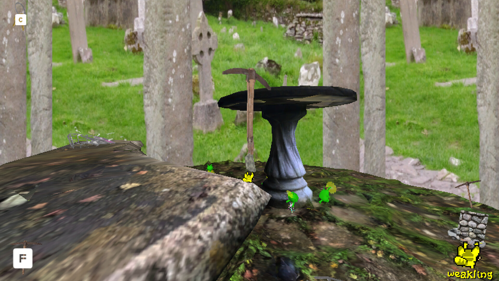 Image 14