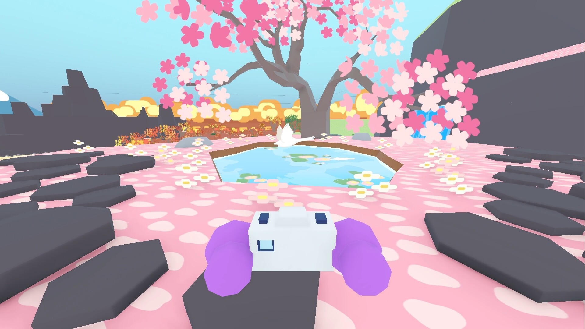 图片[9]-集群观鸟联机版（Flock Around Online）免安装中文版下载-蒸汽游戏宝库 - 高质量Steam单机游戏下载站