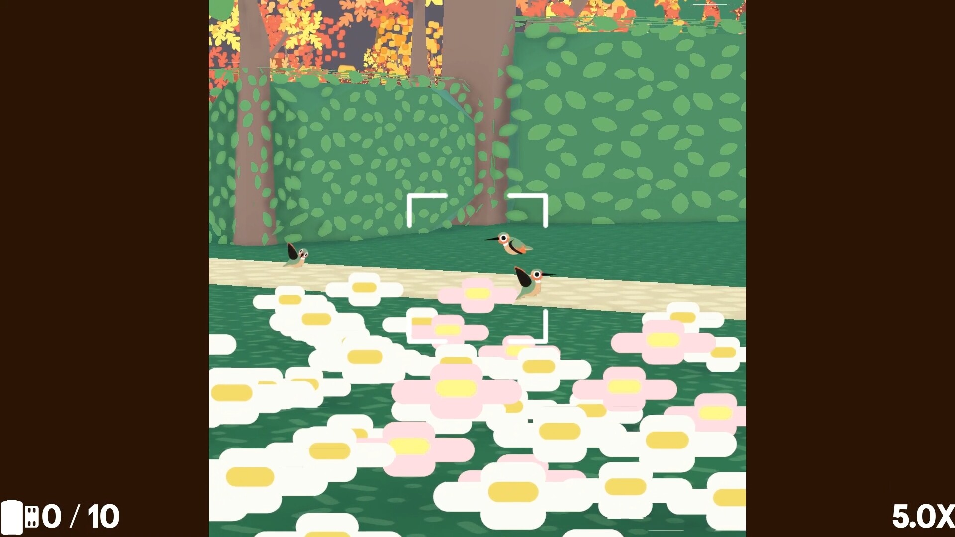 图片[10]-集群观鸟联机版（Flock Around Online）免安装中文版下载-蒸汽游戏宝库 - 高质量Steam单机游戏下载站