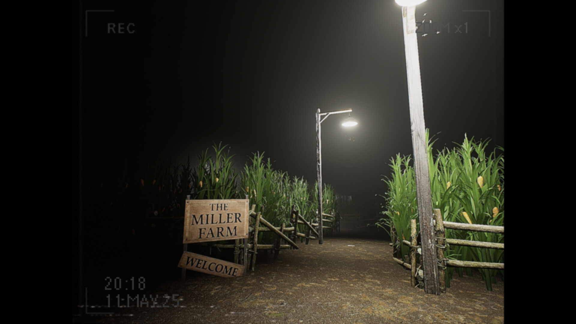 《莉莉出了什么事？(What Happened to Lily?)》|Build 19335260|中文|免安装硬盘版