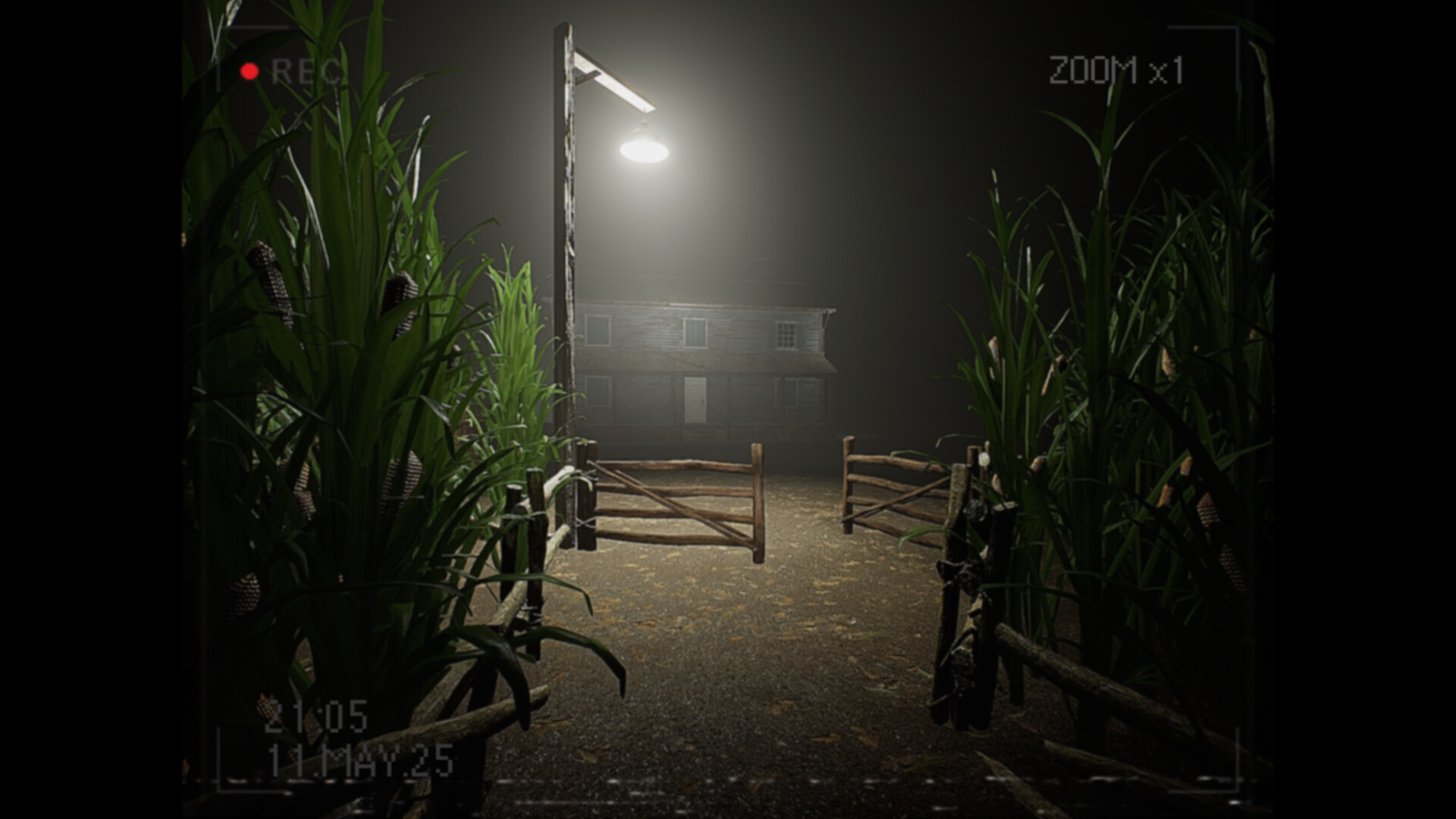 《莉莉出了什么事？(What Happened to Lily?)》|Build 19335260|中文|免安装硬盘版