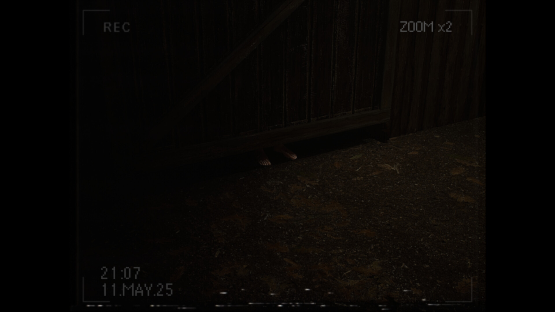 《莉莉出了什么事？(What Happened to Lily?)》|Build 19335260|中文|免安装硬盘版