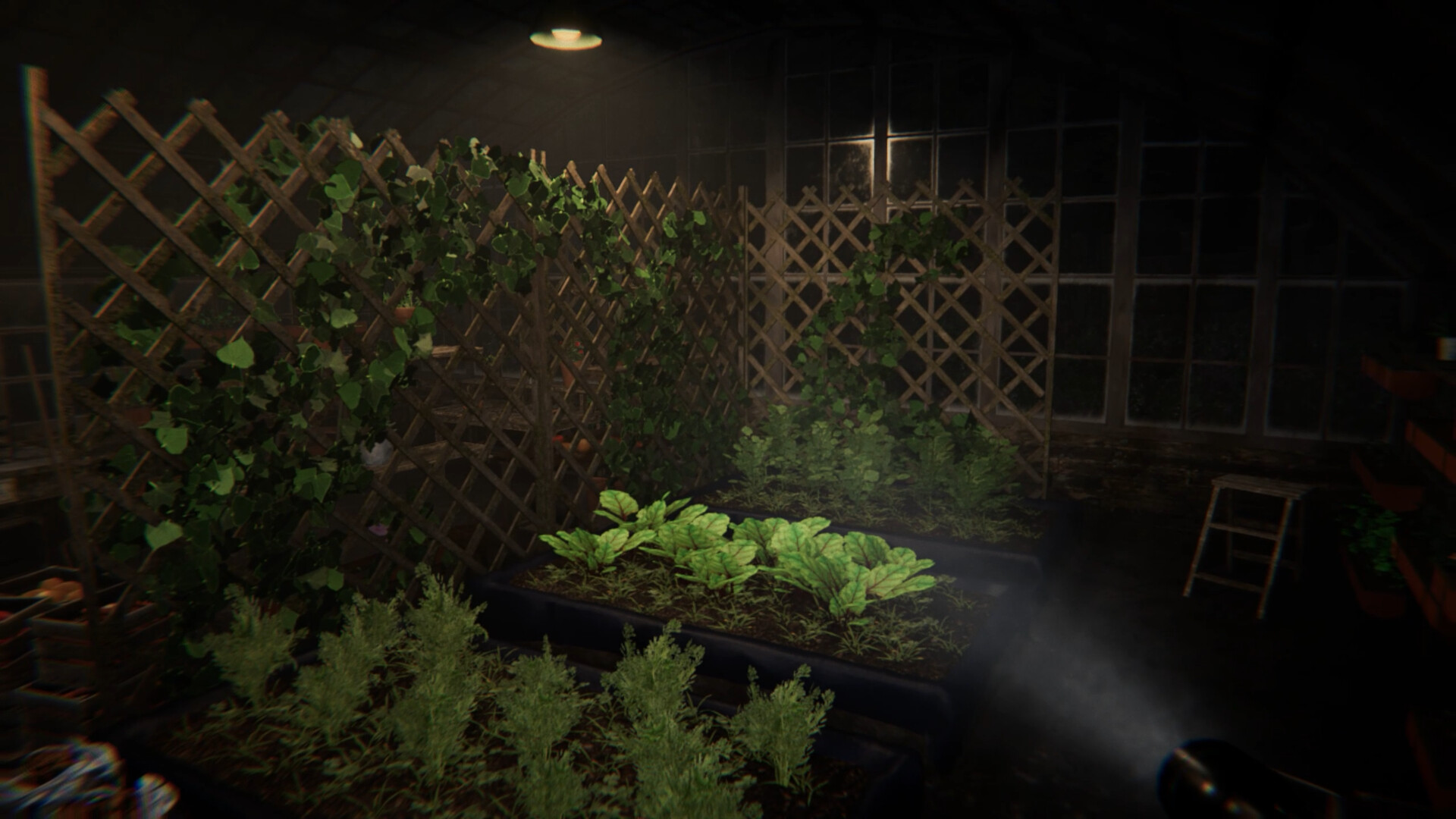 ss_31335105d06c9d78bddb385aa967cd3a02868062.1920x1080