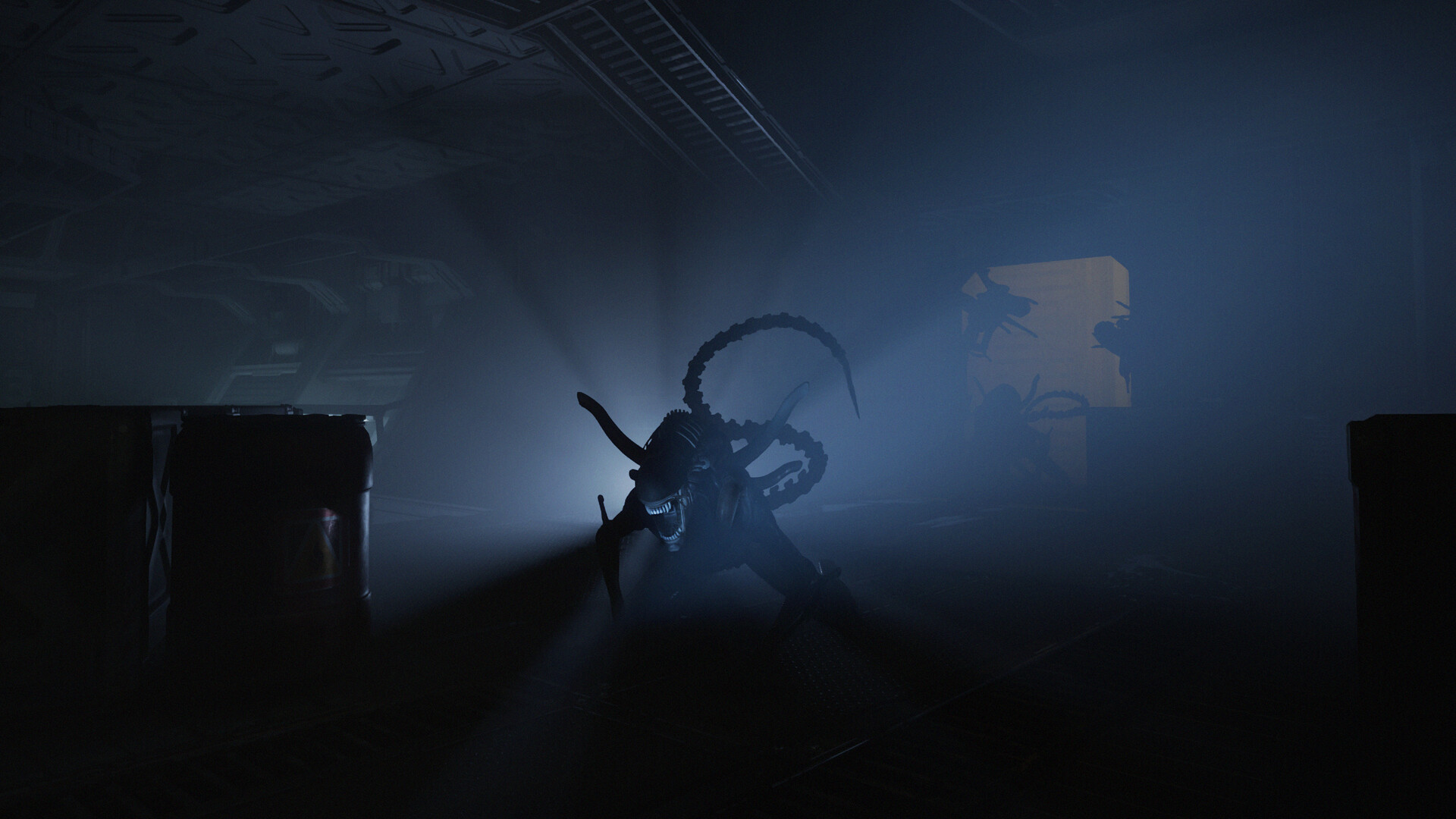 Gameplay Scene