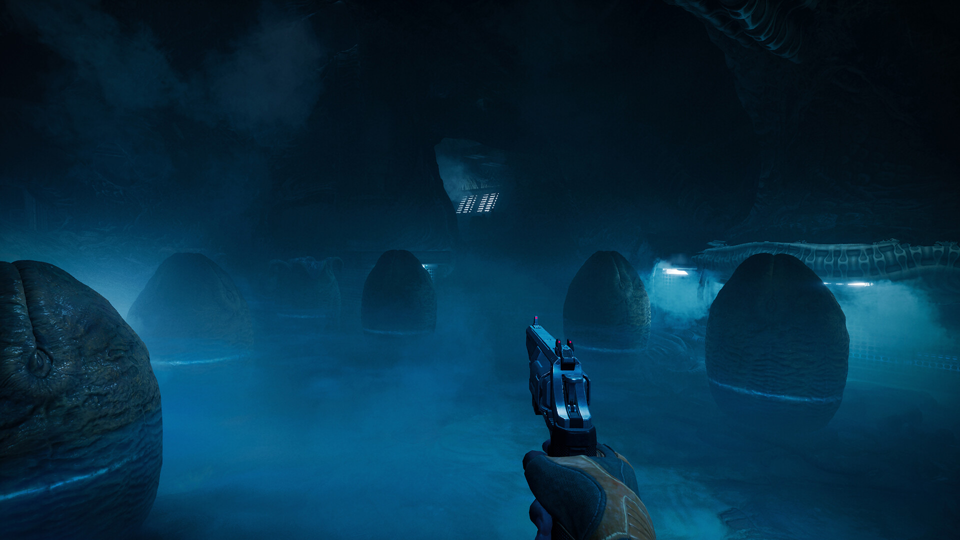 Environment Exploration