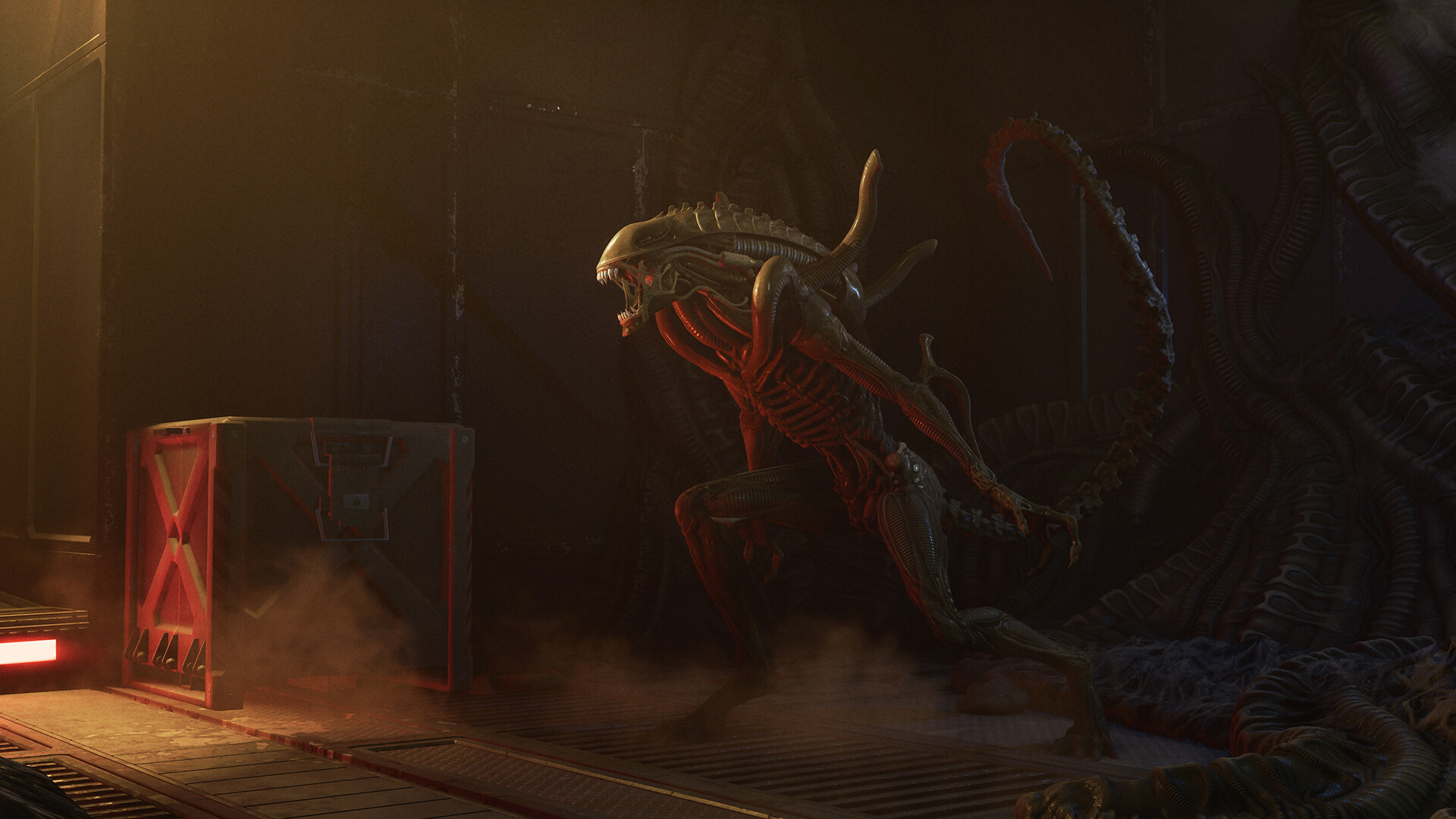 Alien Encounter