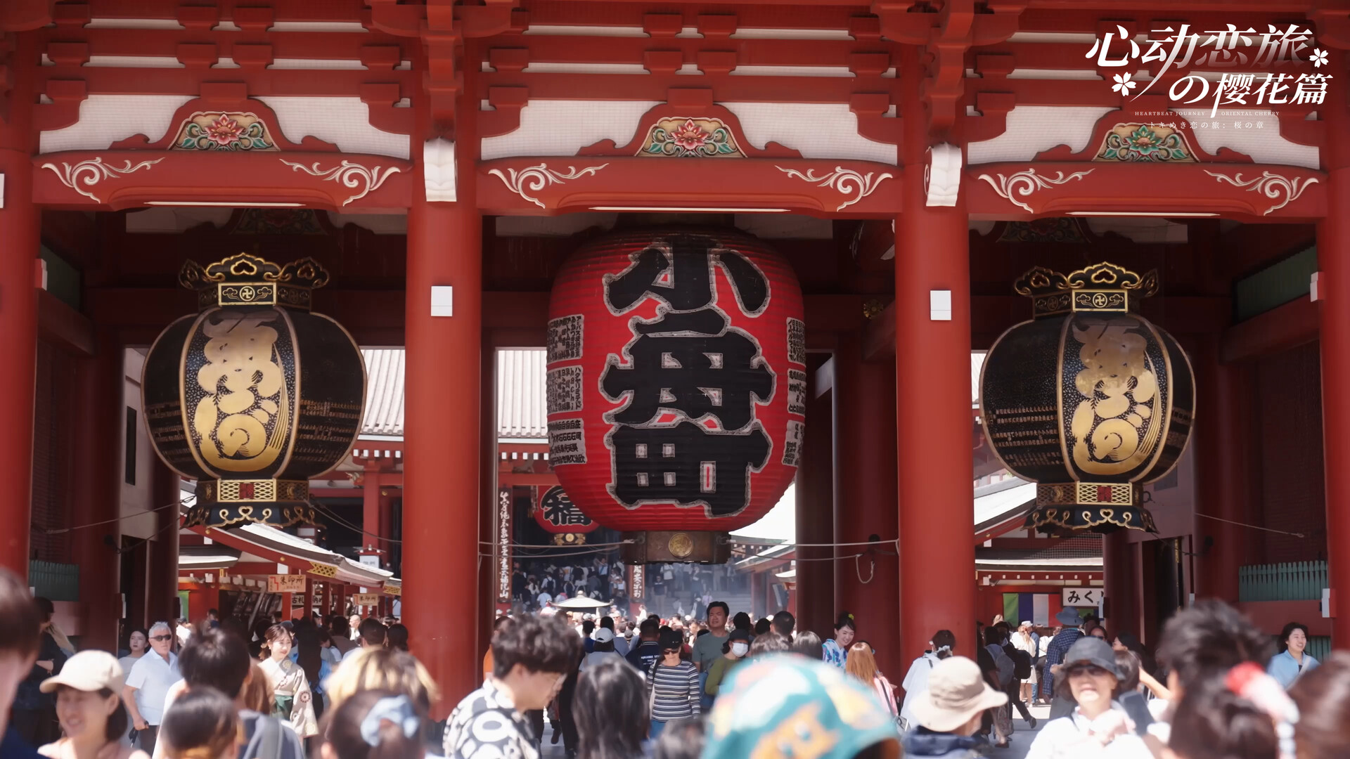 心动恋旅：樱花篇/LoveInTokyo