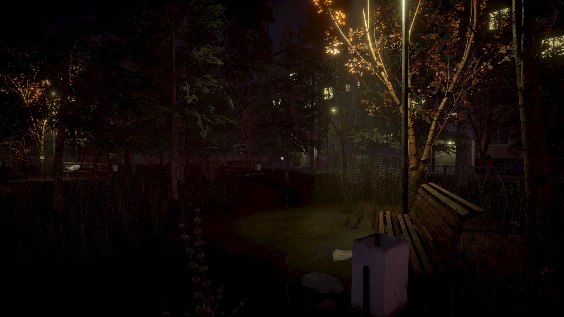 Image 6