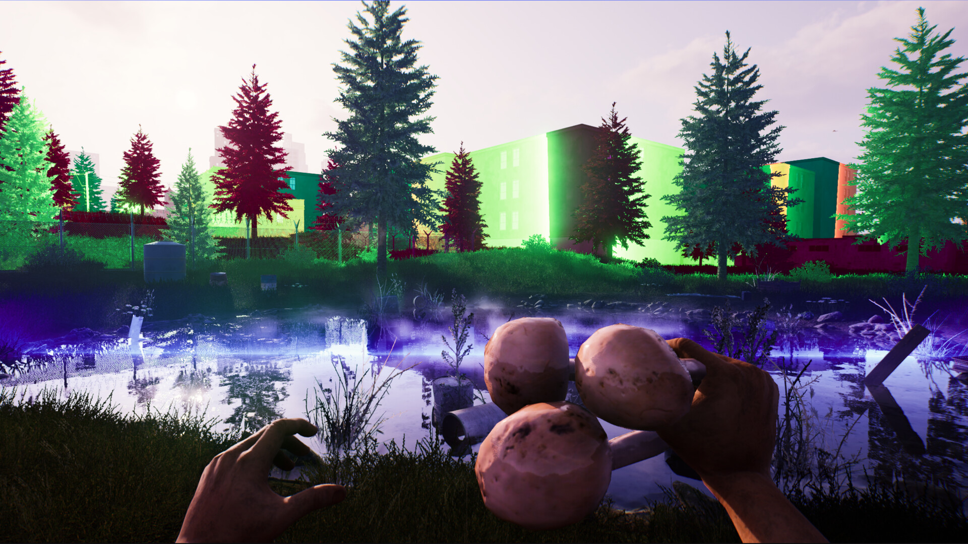 ss_f110cf99d7b835bd811bee6efc9b991e2c57b09c.1920x1080