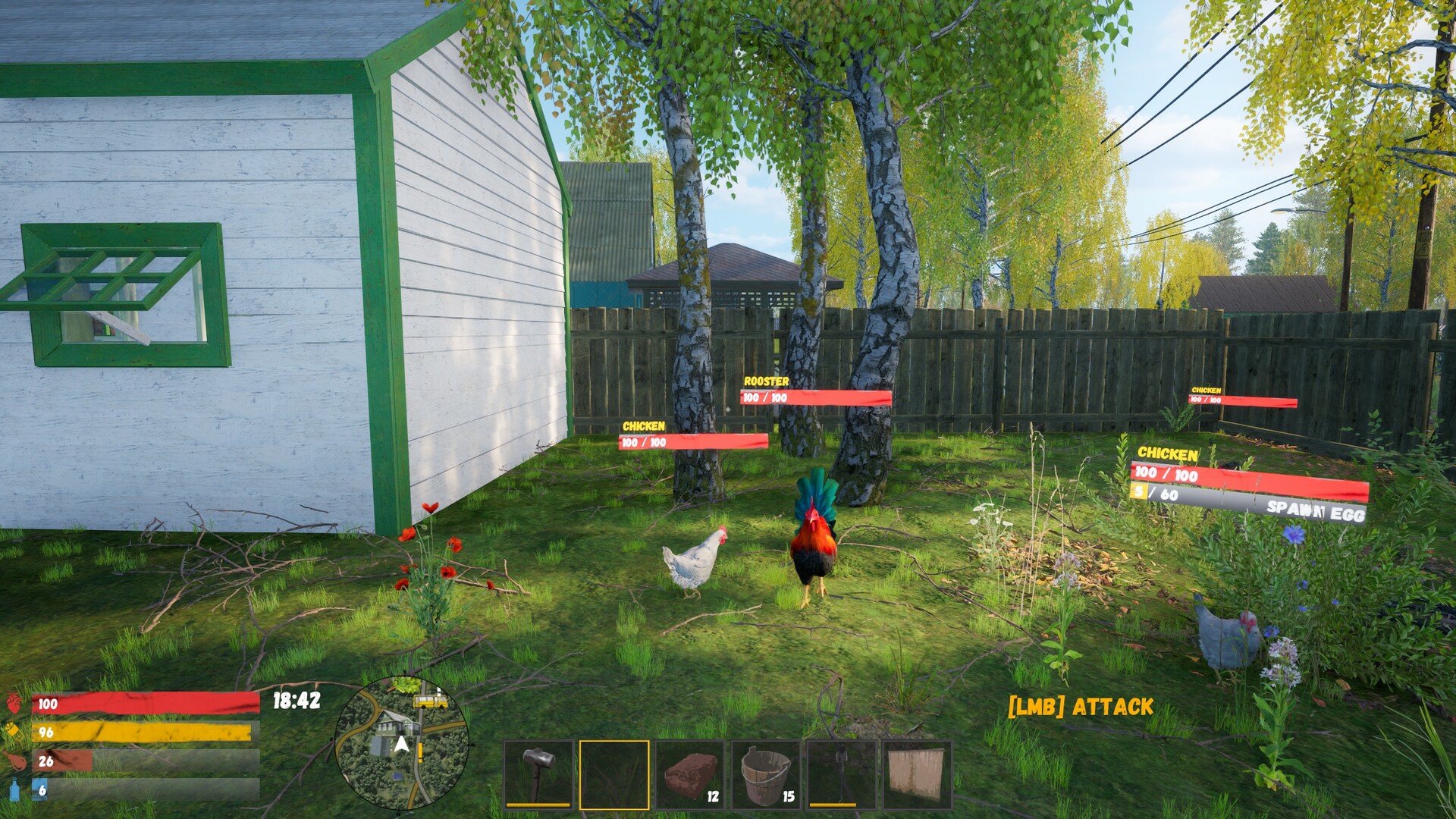 Image 5