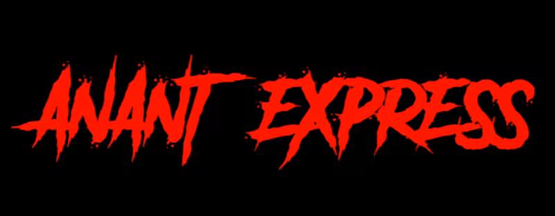 阿南特快车|官方中文|支持手柄|Anant Express插图