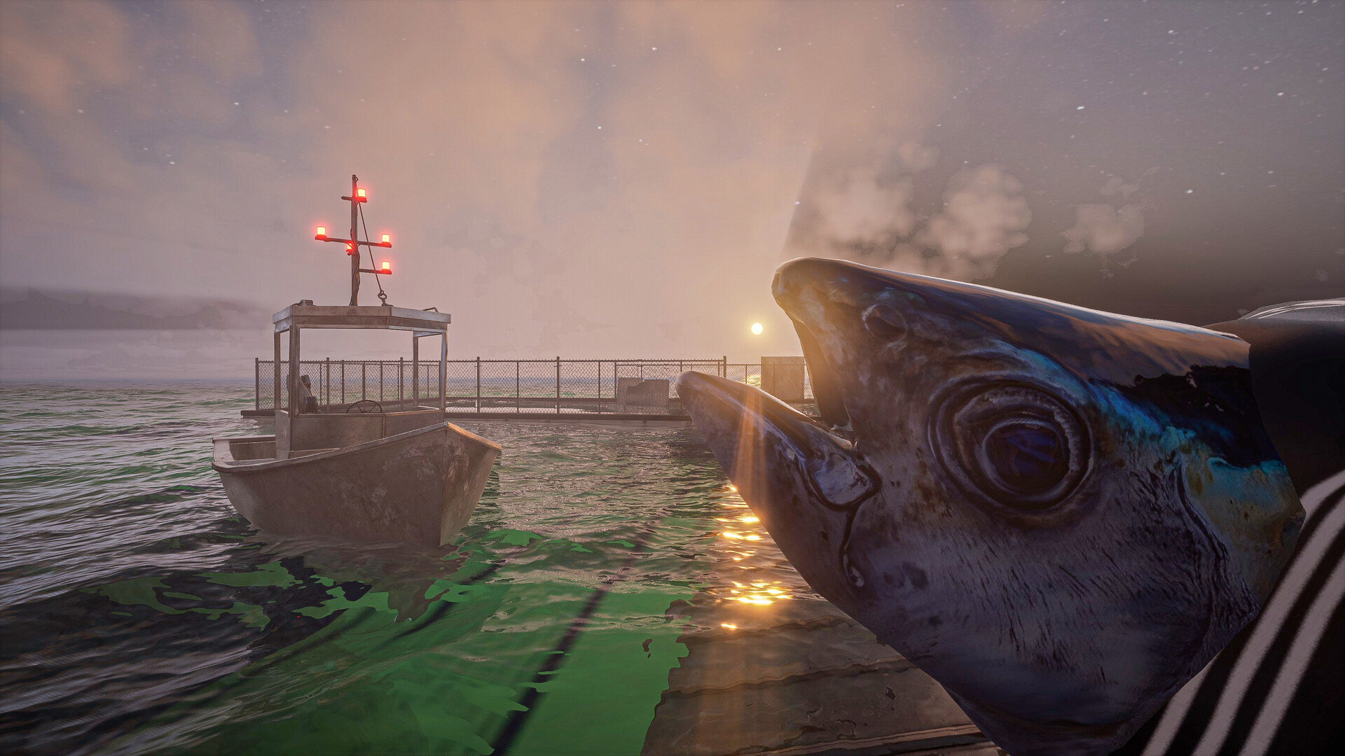 图片[8]-UMIGARI | ウミガリ|官方中文|Build.21934145|解压即撸|-尚艺游戏库