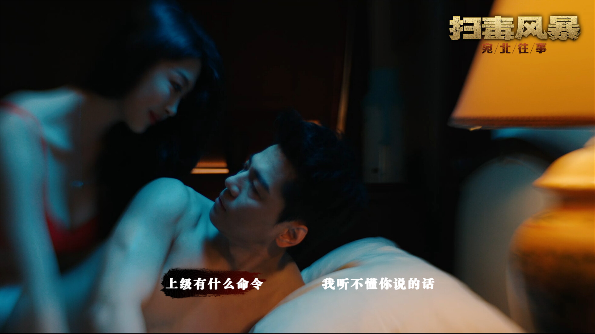 扫毒风暴：宛北往事|v20250809|23G大小|官方中文|The Narcotic Operation
