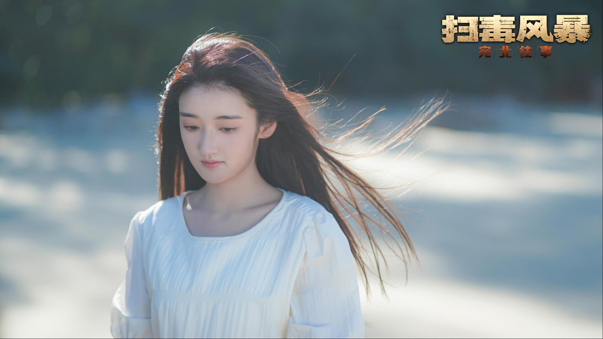 扫毒风暴：宛北警探往事插图2
