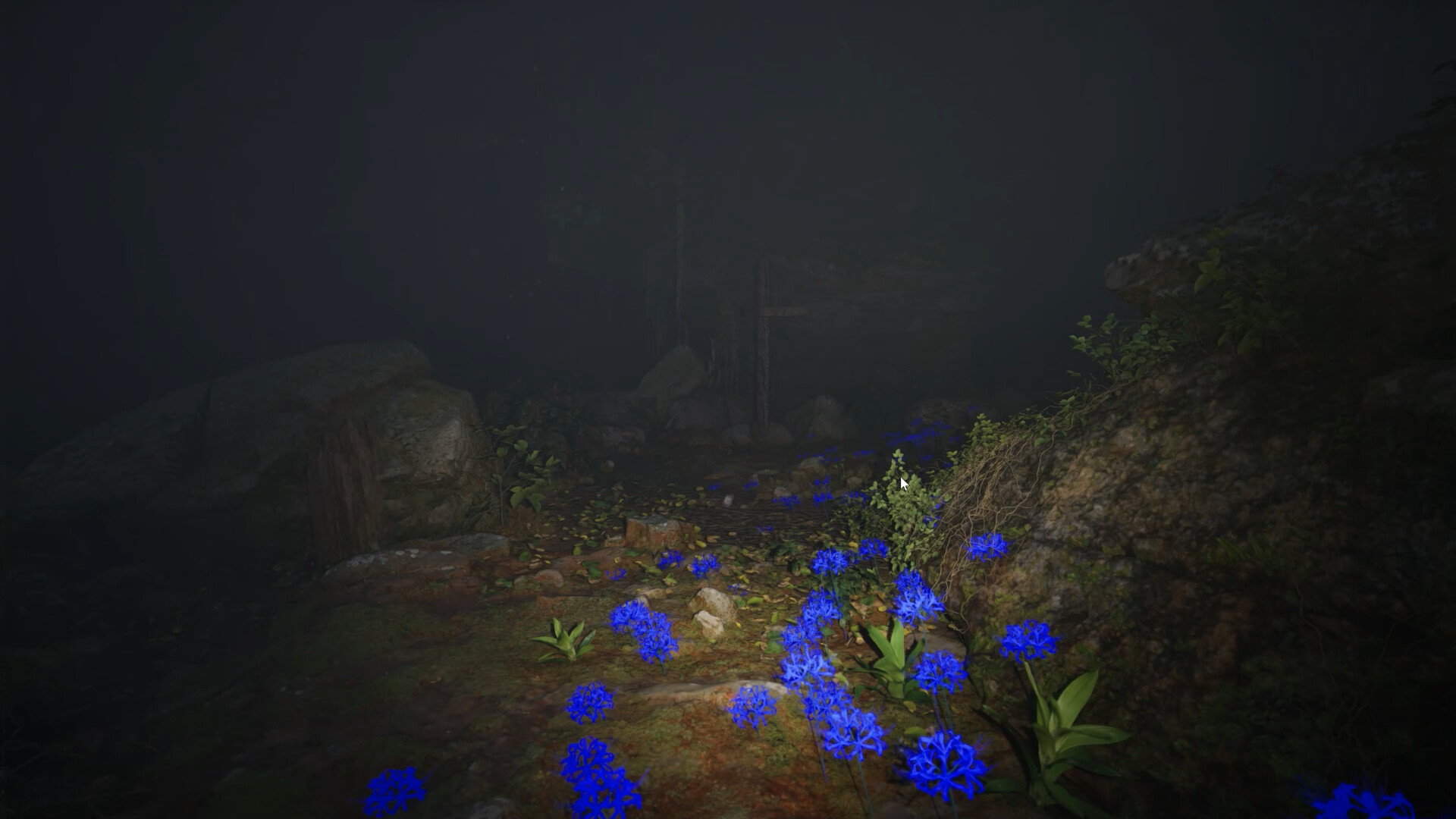 Image 37